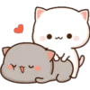 GATOS CUTE 2 20
