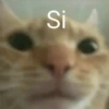MEMES VARIADOS 16