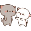 GATOS CUTE 2 21