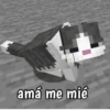 Minecraft random 👾 23