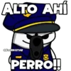 Flork policía 🚔🚓👮🏻‍♀️ 19