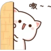 GATOS CUTE 2 22