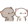 GATOS CUTE 2 23