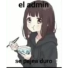 soy admin 18