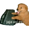 jaja así es