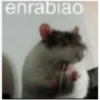 MEMES VARIADOS 18