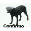 Confirmo
