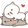 GATOS CUTE 2 26