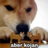 aber kojan