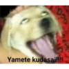 Yamete kudasai!!!!
050