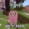 Minecraft random 👾 25