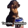 Terrible, bebamos