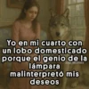 🧞‍♀️Genio Malinterpretó mi deseo🧞‍♂️ 23