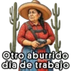 Abuelita sicaria Carlota Memes 19