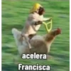 acelera
Francisca