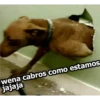 wena cabroS como estamos
jajaja