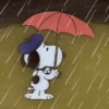 🫐☔ SNOOPY Triste ☔🫐 14