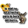 Persy la miel no está hecha para la boca del burro