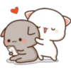 GATOS CUTE 2 28