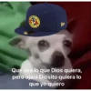 America vs cruz azul memes 🔥 15