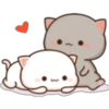 GATOS CUTE 2 29