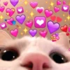 💞💖 AMOR 5 💖💞 16