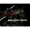 soy admin 28