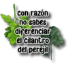 Persy con razón no sabes diferenciar el cilantro del perejil