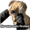 No veas esto firulais