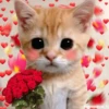 💞💖 AMOR 5 💖💞 18