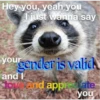 Raccoon Vol. 2 6