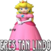 Super Mario Bros. 5