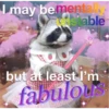 Raccoon Vol. 2 7