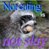 Raccoon Vol. 2 8