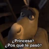 Sherk ✨ Memes clásicos 2 7