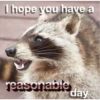 I hope you have a
@Raccoon village
reasonable
day