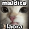 ✨ Memes mix 7 🔥 5