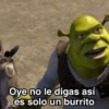 Sherk ✨ Memes clásicos 2 8