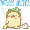 BUENAS NOCHES