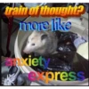 Fynny trash haha 11