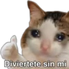 drama 2< 8