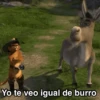 Sherk ✨ Memes clásicos 2 10