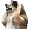 drama 2< 10