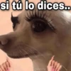 ✨ Memes mix 7 🔥 6