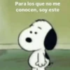 🐶 SnOoPy 🌲 5