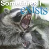 Raccoon Vol. 2 9