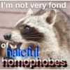 Raccoon Vol. 2 10
