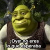Sherk ✨ Memes clásicos 2 12