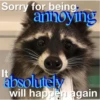 Sorry for being.
annoying
It
@Raccoon
absolutely
will happen again