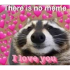 Raccoon Vol. 2 11